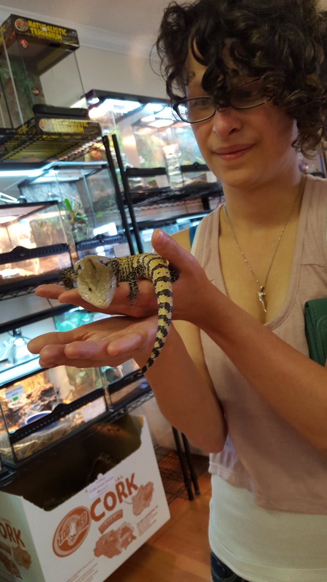 InstantClear's tweet image. Blue tongue skink, I think? 0.0
