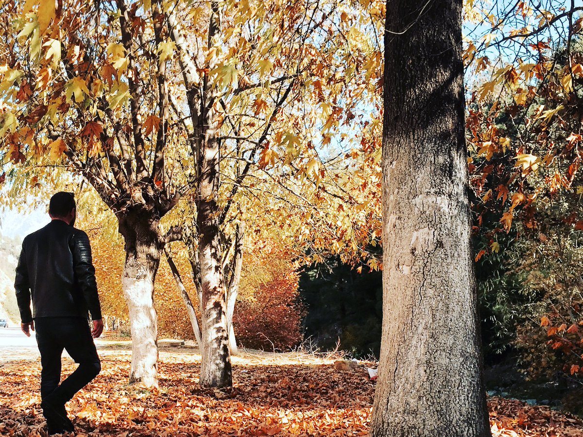 Bu hayat da sensizlik  çok şey öğreti 
Bana En çok acıtan sensizlik çünkü bana sensiz içtiğim  su bile yalan 
Şimdi