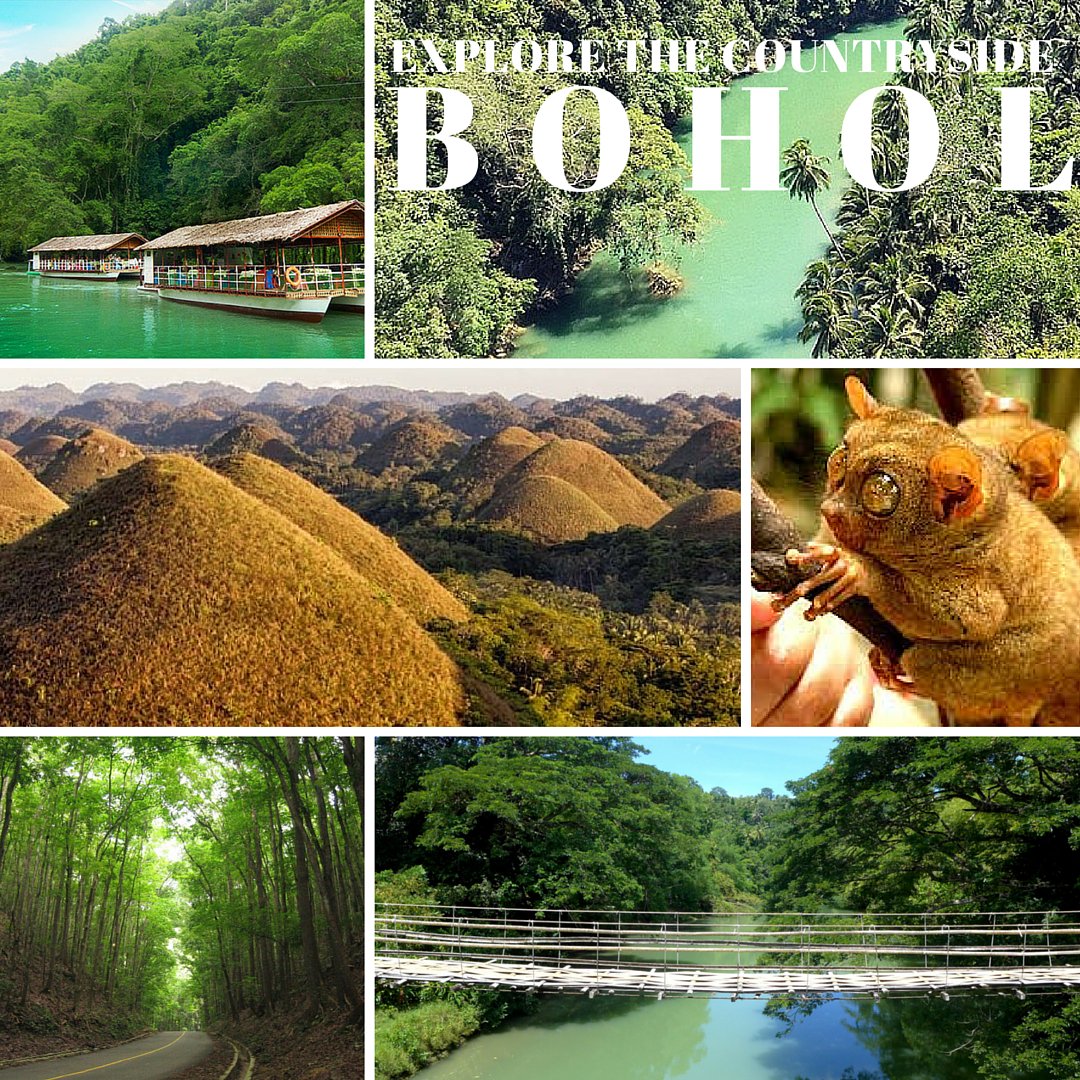 TravelWhile's tweet photo. Revisit #Bohol #Countrysidetour #PanglaoTour #Dolphinwatching #chocolatehills #lobocrivercruise #Philippines https://t.co/HPFITg7iVq