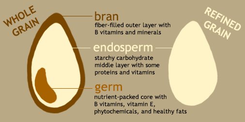 HarvardChanSPH's tweet photo. What separates whole grains from refined grains? https://t.co/n5cOQK0e4m https://t.co/bjIvCuRRbr