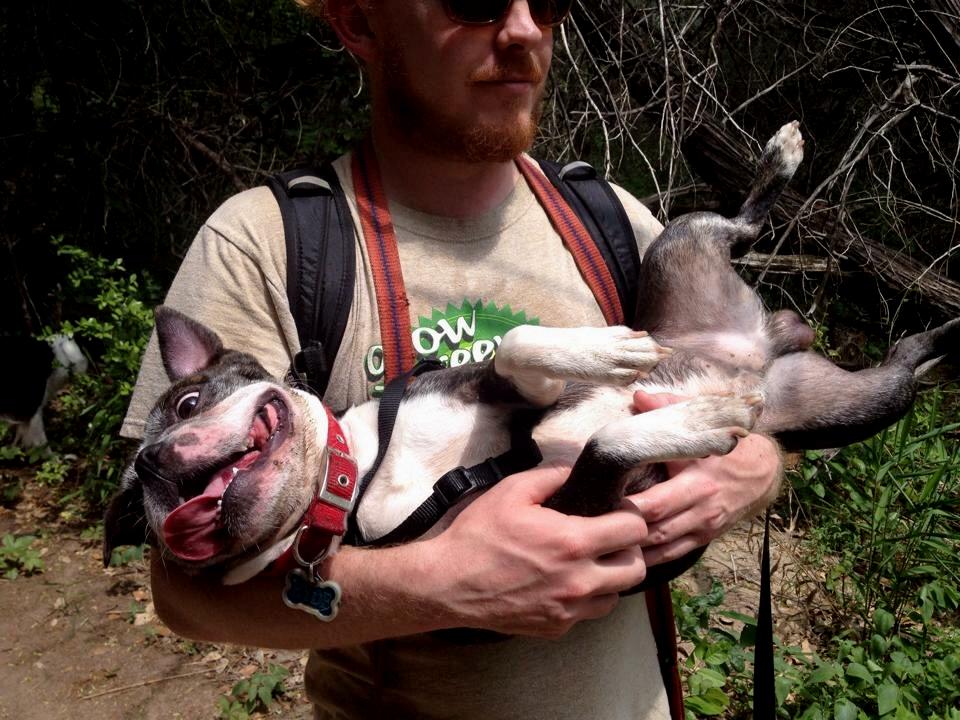 Lazy...crazy... and all hiked out. This gave gave this short hike his all!