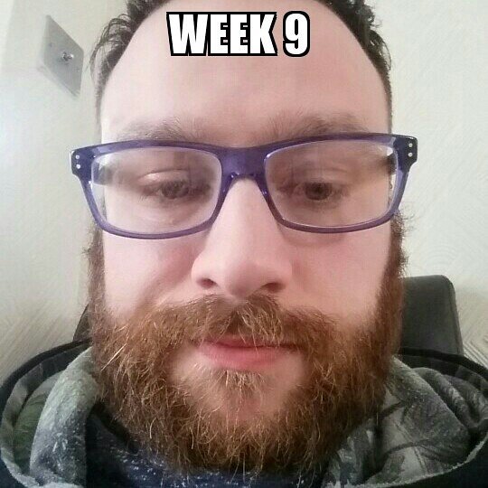 robbiejpoole's tweet photo. Week 9
#beard #Progress #teambeard #beatmybeard #beardedman https://t.co/7SVDakGpVc