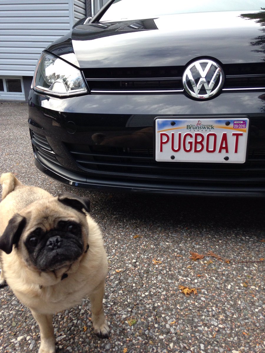 Oscardelapug's tweet photo. Hey @Danny_Willett if you need a lift home from the Masters party I'll fetch you in the #PUGBOAT #Masters2016 https://t.co/aXG7QnLwhv