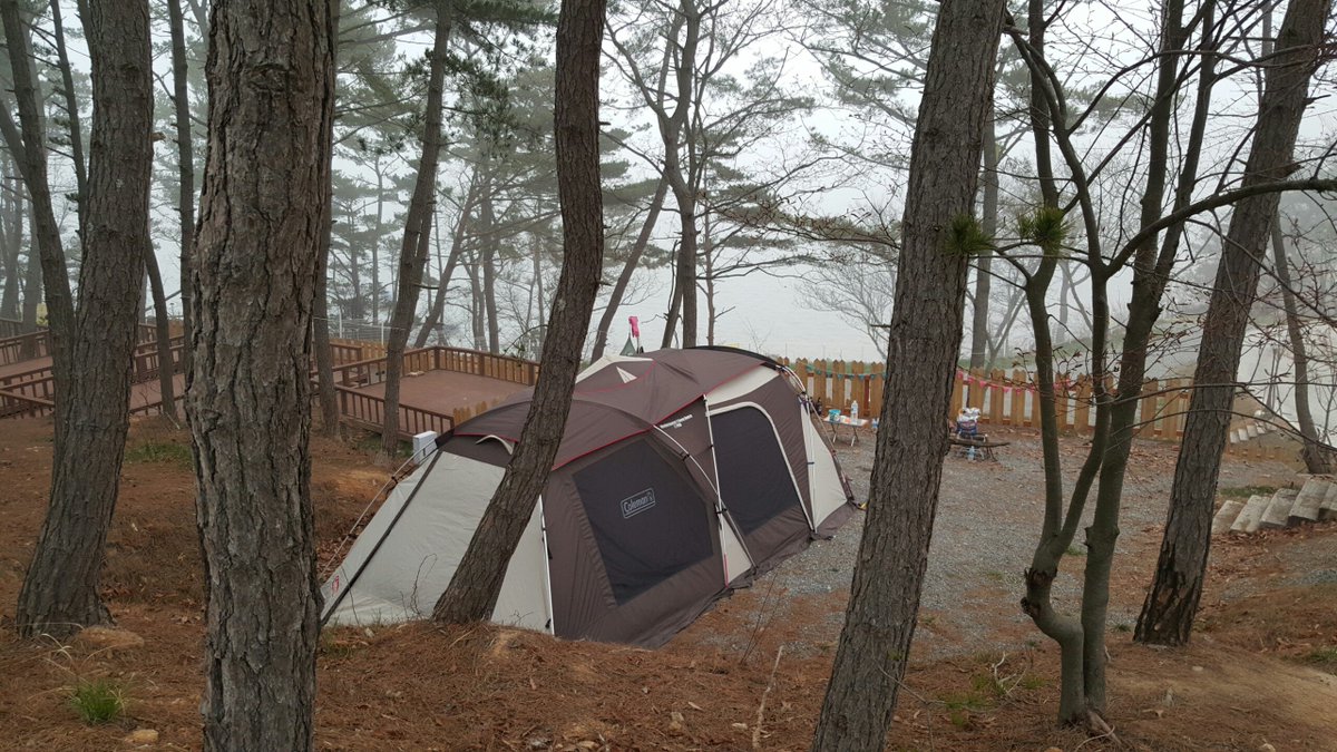kimsil's tweet photo. 올만이세요 ^^ RT @ohkwangho: #campingdang 잘들 지내시죠? 좋은 아침입니다. https://t.co/3CZWaScu31