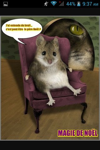 AdoreLyon's tweet image. 