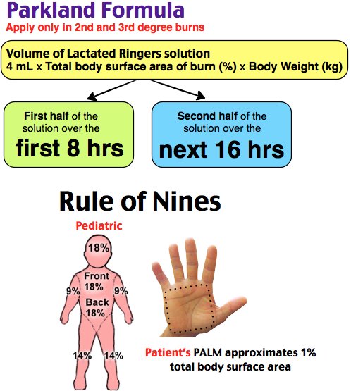 Rosh Review on Twitter: "Pediatric Parkland formula #pediatric #boards