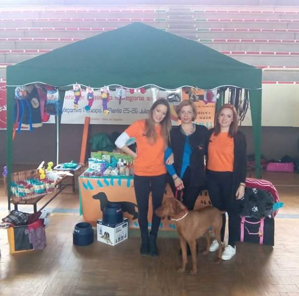 mascotall's tweet photo. Durante las jornadas de adopción en el polideportivo de La Via, en Coslada. https://t.co/c9CuQRzc49