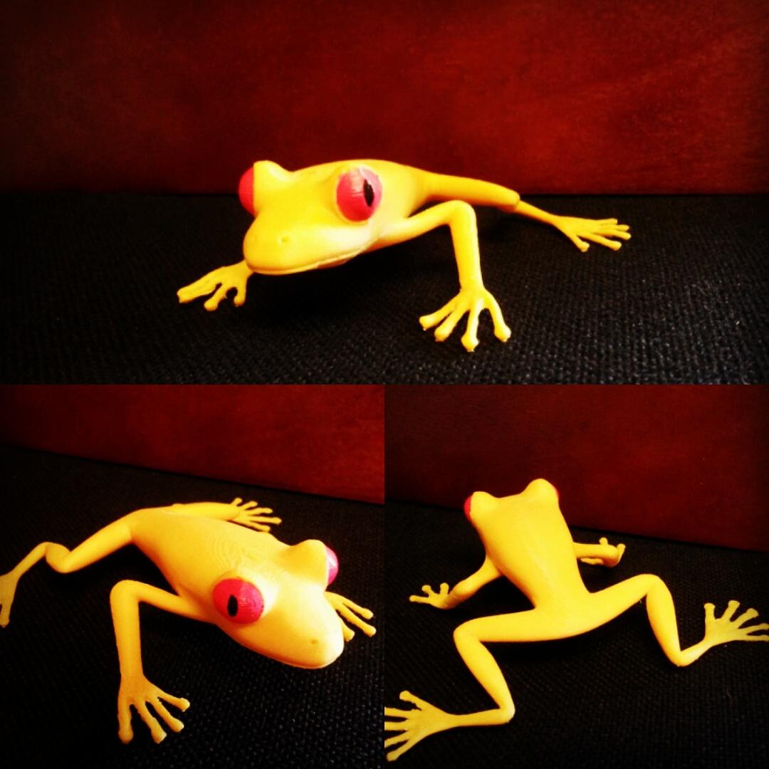 The3DPrintShops's tweet photo. Red Eyed Tree Frog @The3DPrintShops
#the3dprintshops #3DPshops #redeyedtreefrog #frog https://t.co/XEaVrFQQ6w