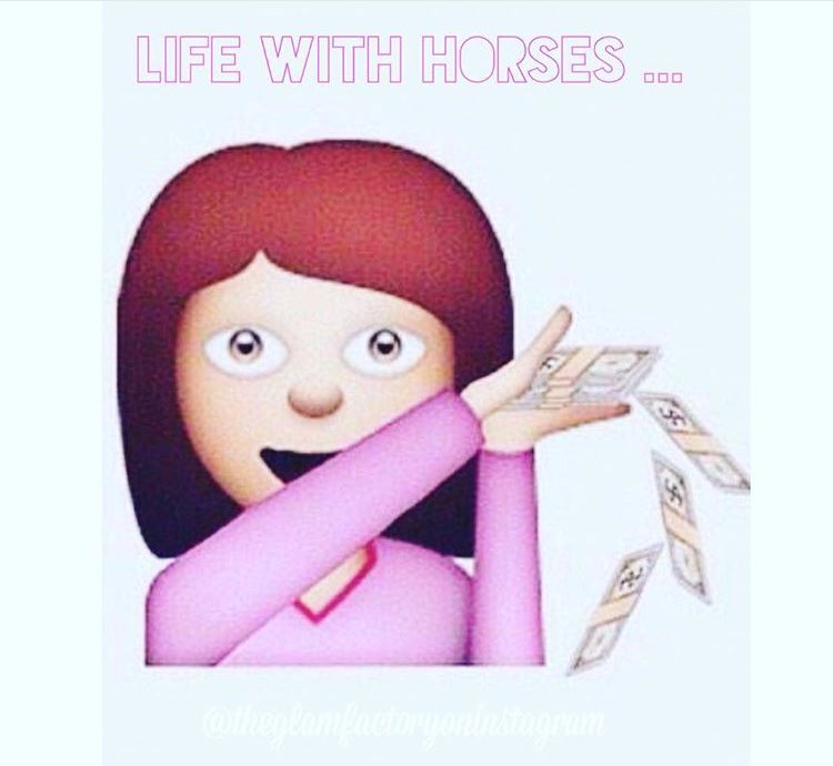 ShanaLester's tweet photo. #HorseProbs https://t.co/fjhTnsgYHu