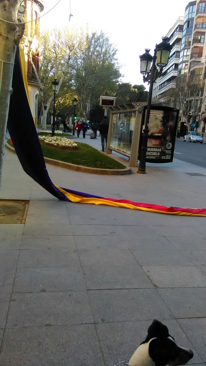 albacetepost's tweet photo. This is so sad... https://t.co/01wNUwN8IA