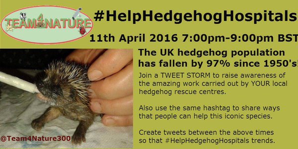 _AnimalAdvocate's tweet photo. #TWEESTORM tom night 4heroes of #hedgehog conservation.
#HelpHedgehogHospitals
TweetStorm
https://t.co/XukmqIB7b7 https://t.co/kqbsxaGTSi