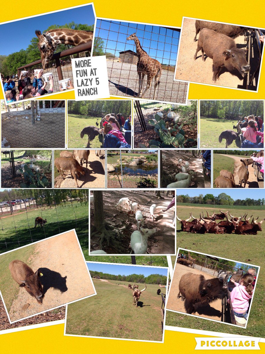 BESHaffk's tweet photo. Our field trip was fabulous @Lazy5Ranch on Friday! @BostianES @BESSigmon @BostianMedia https://t.co/JYpxPgrSWQ