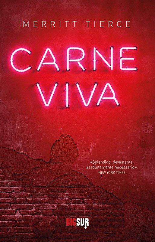 br_mi_73's tweet photo. #carneviva @Stoleggendo @CasaLettori @amantilibri @Librienonsolo https://t.co/PwHw3XFz62