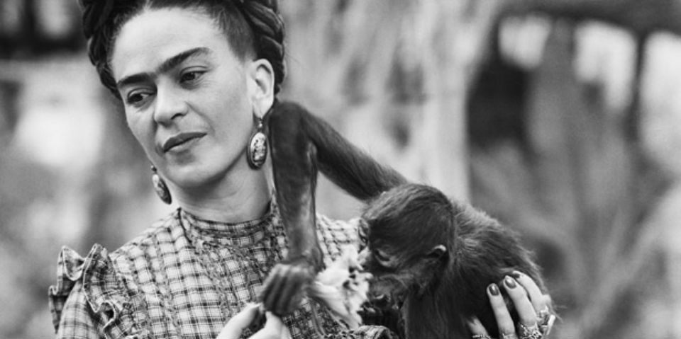animalgourmet's tweet photo. Te pasamos el recetario de Frida Kahlo compilado por la chef @zahietellez https://t.co/2tbwyoYFAU https://t.co/NrgWiFkPzi