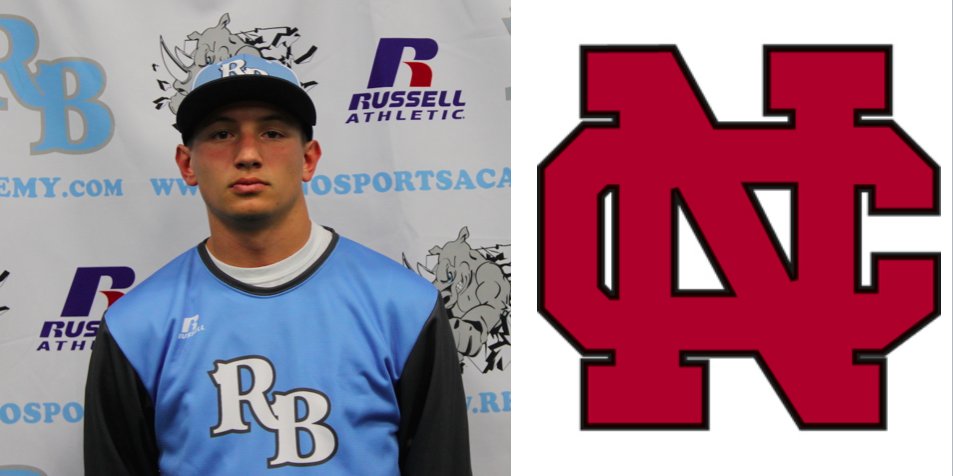 Rhino Baseball tweet media