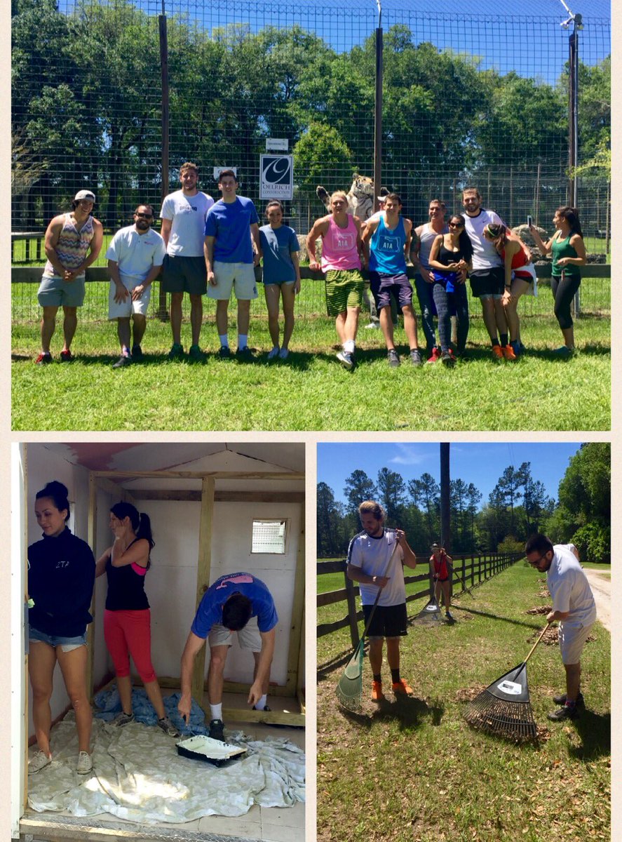 OAKgainesville's tweet photo. A sunny Saturday well-spent! The 101 staff had a great time volunteering at Carson Springs Wildlife Foundation! https://t.co/KpoUn55vE0
