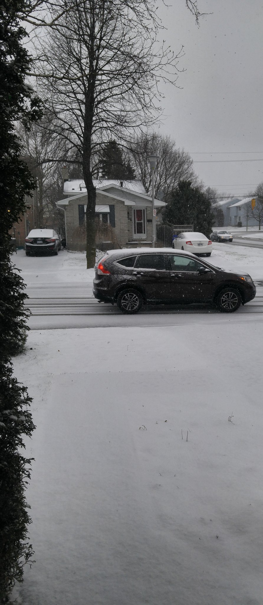 Why. Why?! Go home spring, you're drunk. https://t.co/giJSxqKAnh