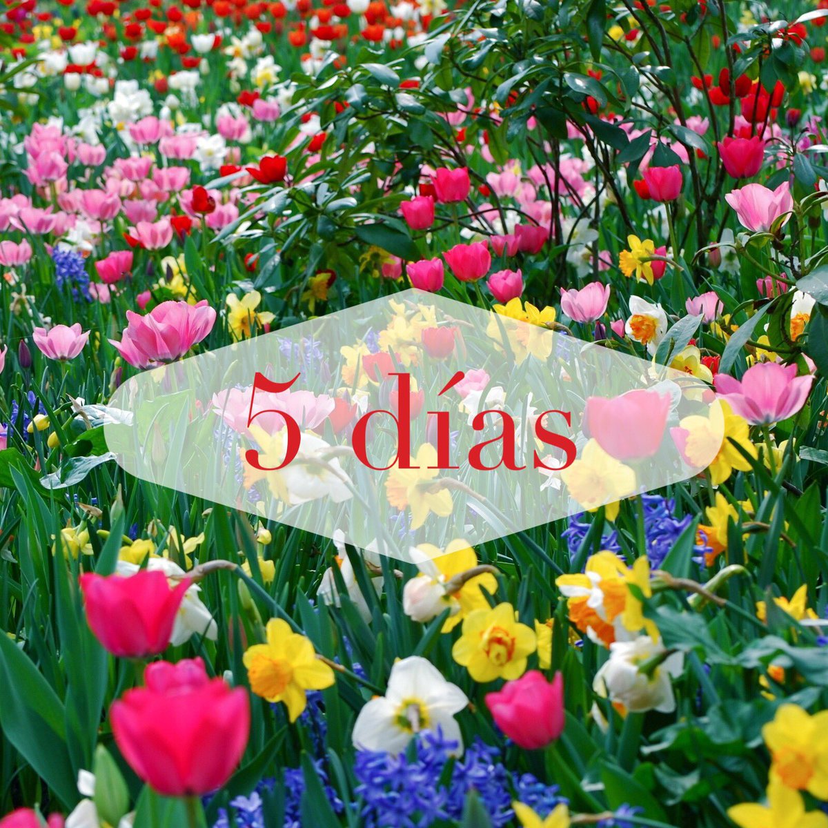 theredcastlee's tweet photo. Llegó el domingo!! Día para descansar y relajarnos. Hoy les recuerdo que sólo faltan 5 días 🎉🌷 https://t.co/kLPnsD2EF8