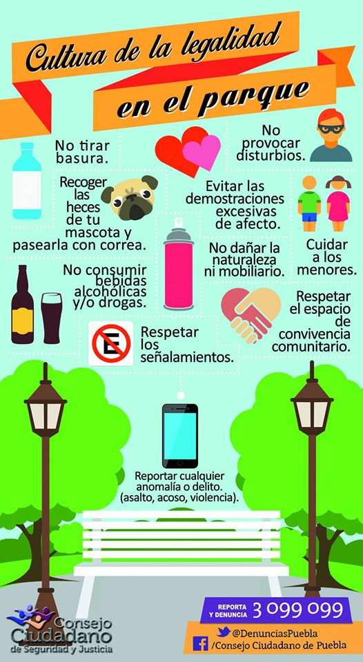 FelipePatjane's tweet photo. ¿Qué hábitos debemos tomar al ir a parque y áreas verdes? 🍃 https://t.co/p5m3k872uy