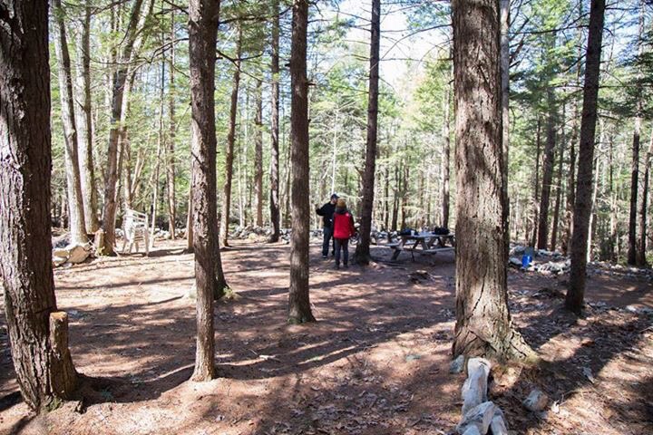BonfireFilms's tweet photo. Spent today deep in the #mainewoods #locationscouting for our newest anthology release #thewitching. https://t.co/PO2yhuVWQW
