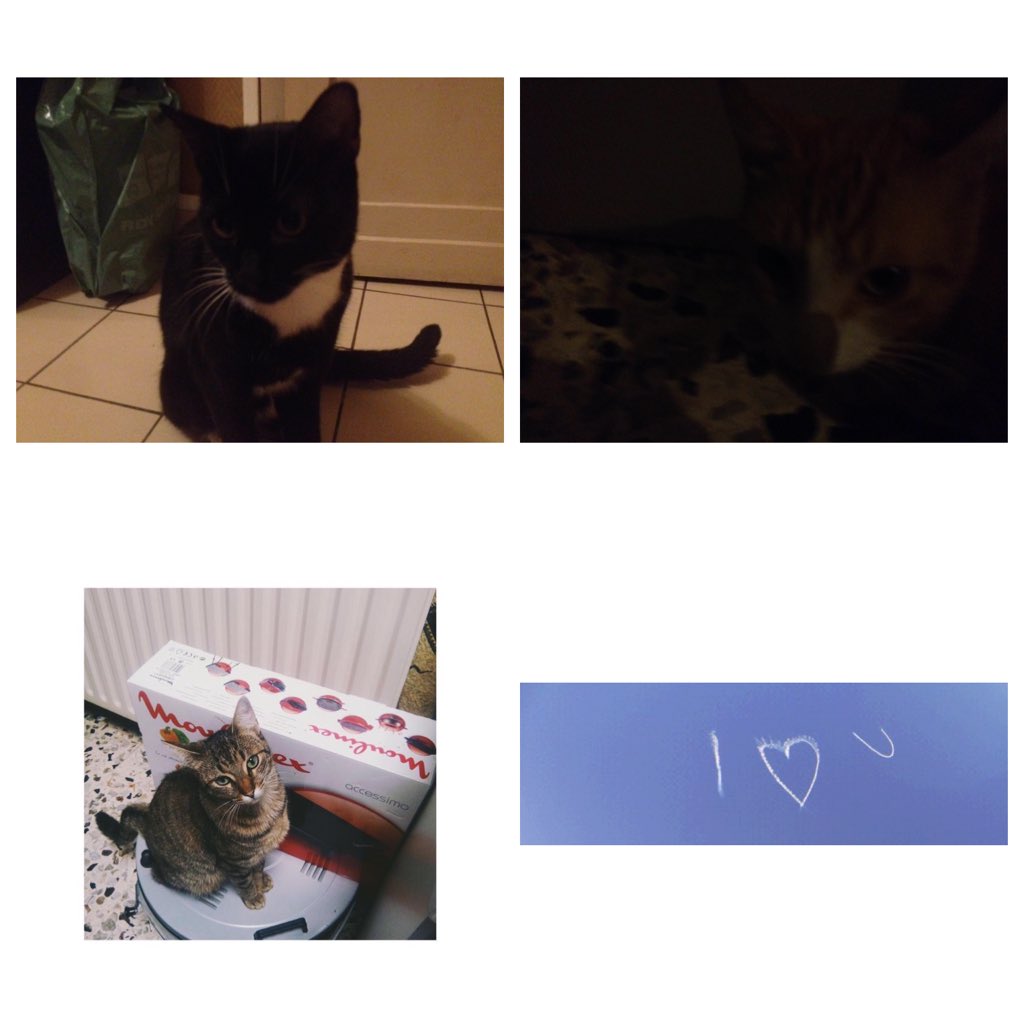 juicywas's tweet photo. Je vous aimes sachez-le. https://t.co/bkHkqVM3ND