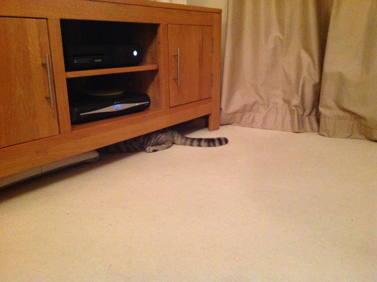 Rudy thinks he's hiding..........