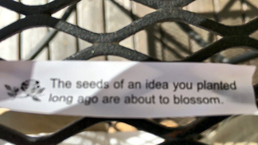 Spring is here #seattle