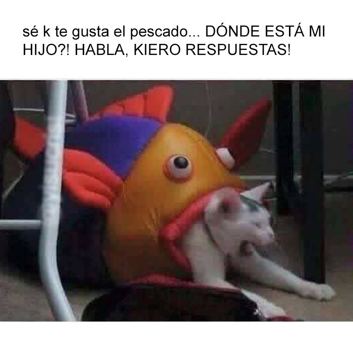 yisucrist's tweet photo. en tan solo una foto podemos ver una emosionante historia con tragedias y vengansa https://t.co/cc7luYouTQ