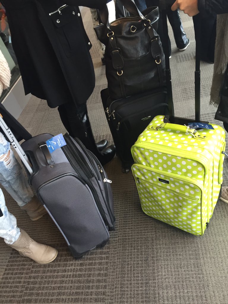 Diana Lee tweet media