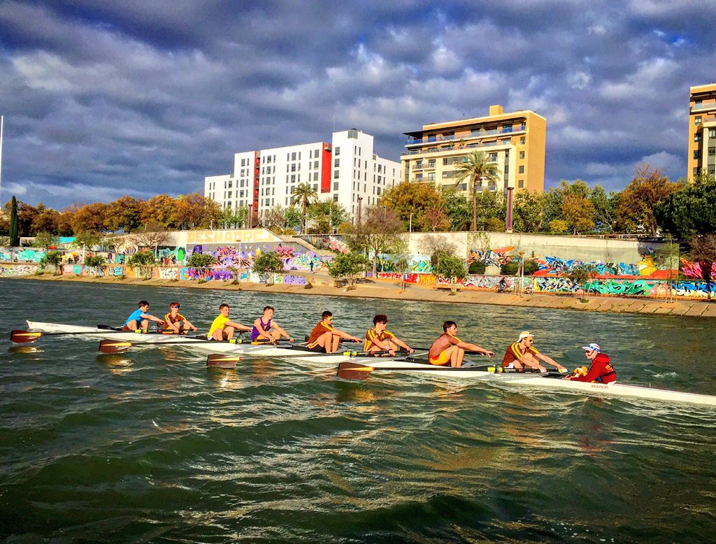 paulorwill's tweet photo. Into choppy water for @MS_Rowing #FirstVIII this evening #chocolateandgold #seville https://t.co/NXKsZxIIoq