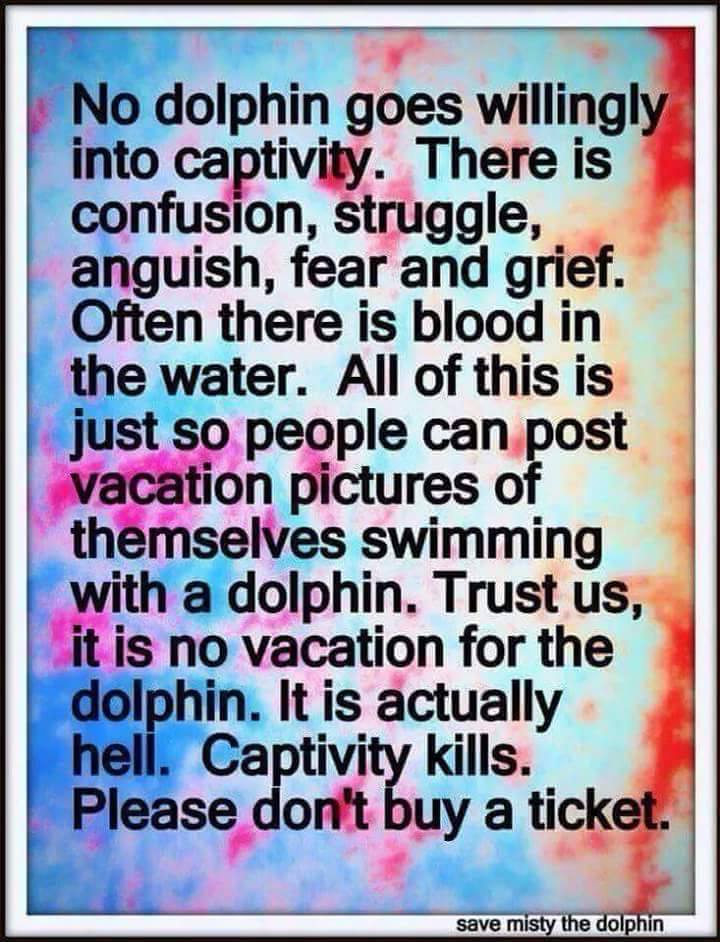 jilleeeebean's tweet photo. .@ChrisLRusso @HashtagJones1 If they cannot be released then they certainly should not b forced to entertain. https://t.co/MEP7msWkGO