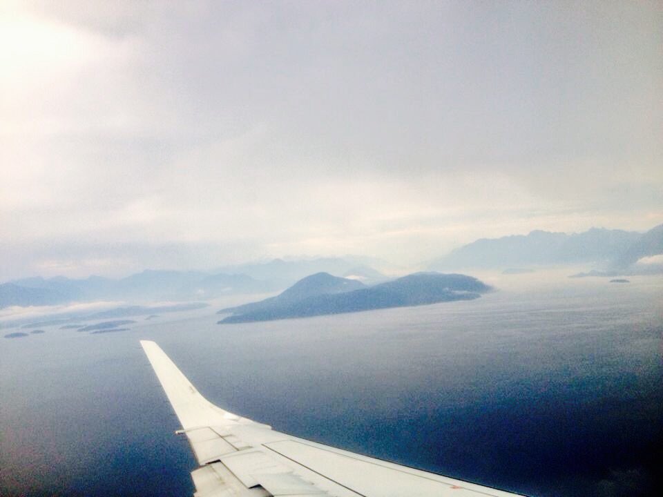 dew_lulu's tweet image. Nothing but blue ocean all the way to the horizon #love #missingtheocean #takemeaway