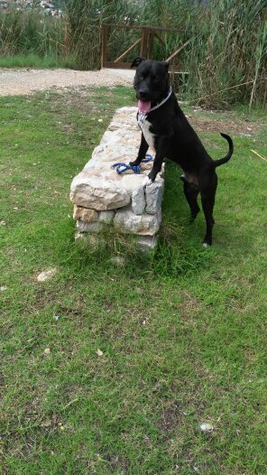 itxivillar1968's tweet image. TURBO.Mi bebé.
pekeweb.com/mar