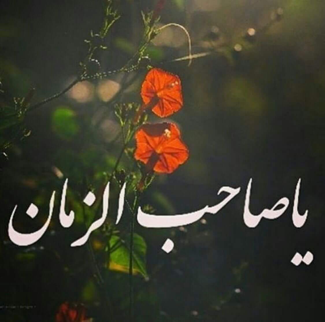 saedhaedar82's tweet photo. https://t.co/TxaCbl3Wde