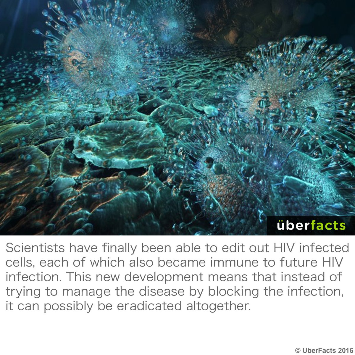 UberFacts's tweet photo. This is a huge thing.
https://t.co/6jsHx5Nq3H https://t.co/ZVKmFFiF8R