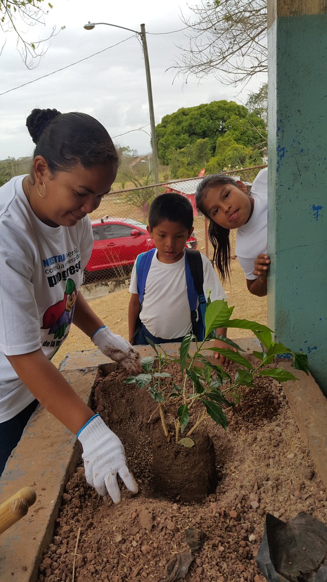 PanAm Generating Ltd tweet media