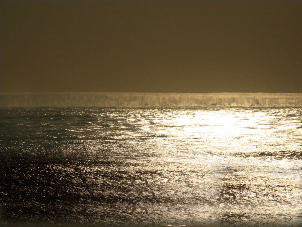 Tim Maltin tweet media