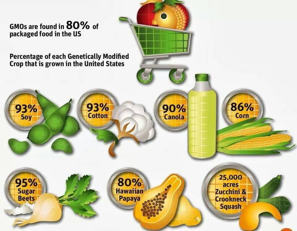 Fight Against GMOs (@say_no_gmo) on Twitter photo 