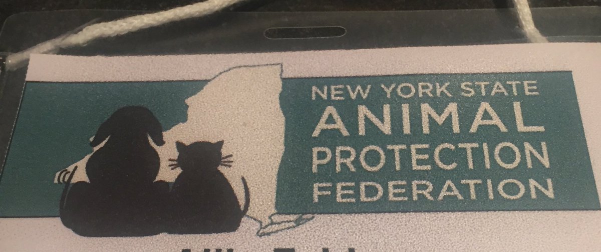 Learned a ton about animal shelter policy &amp; best practices at <a href="/NYSAPF/">NYSAPF</a> conference today. #StandUpForAnimalShelters