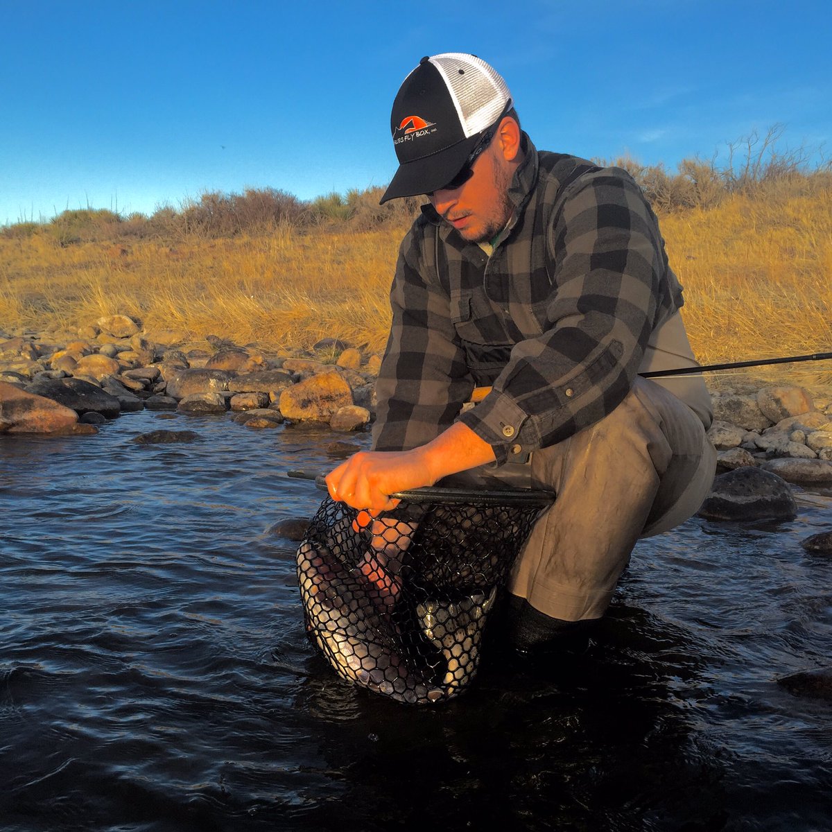 NoCoFlyBoys's tweet photo. #rainbowspawn #flyfishing #nomansland https://t.co/eNB9D2hykh