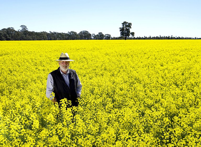 NufarmSeedsAU's tweet photo. Learn how we're adding on-farm testing to our new #sorghum & #canola varieties: https://t.co/KQUp4XM7om #CATprogram https://t.co/aYSr2HNPLV