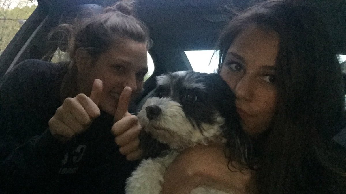 elliegrubbs1's tweet image. when u steal ur moms dog while ur at ur dads house #divorceproblems