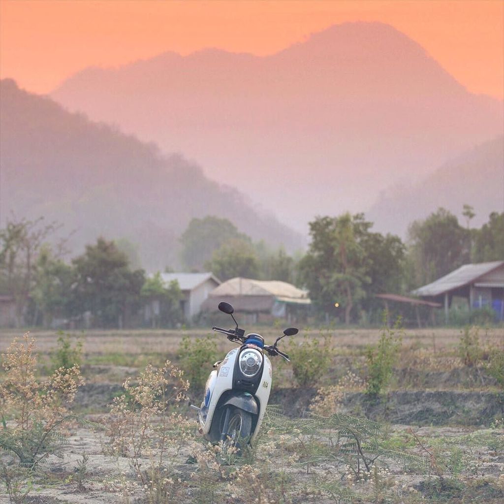 VFpictures's tweet photo. Pre-dawn rides are the best! #thailand #scootscoot https://t.co/3uW9bsbw9X https://t.co/EgrQsBq0AM