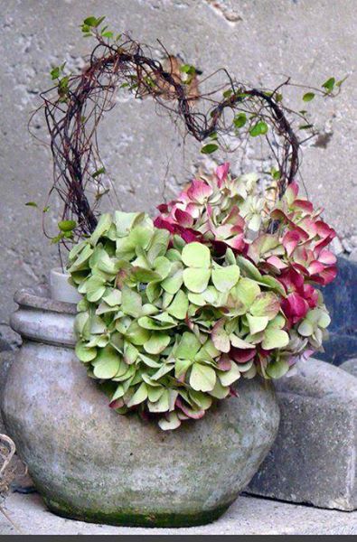 catarinalvim's tweet image. Quando um coração encontra a paz... ele floresce.

Luandrade*

Via:Arvores da vida