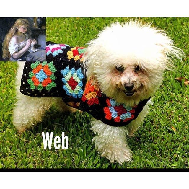 Teacupdogsdaily's tweet image. #Croche #crochet #crochetdiagram #crochet_pattern #crochetpatterns #crochetpatterns #freec… bit.ly/teacupdogshq