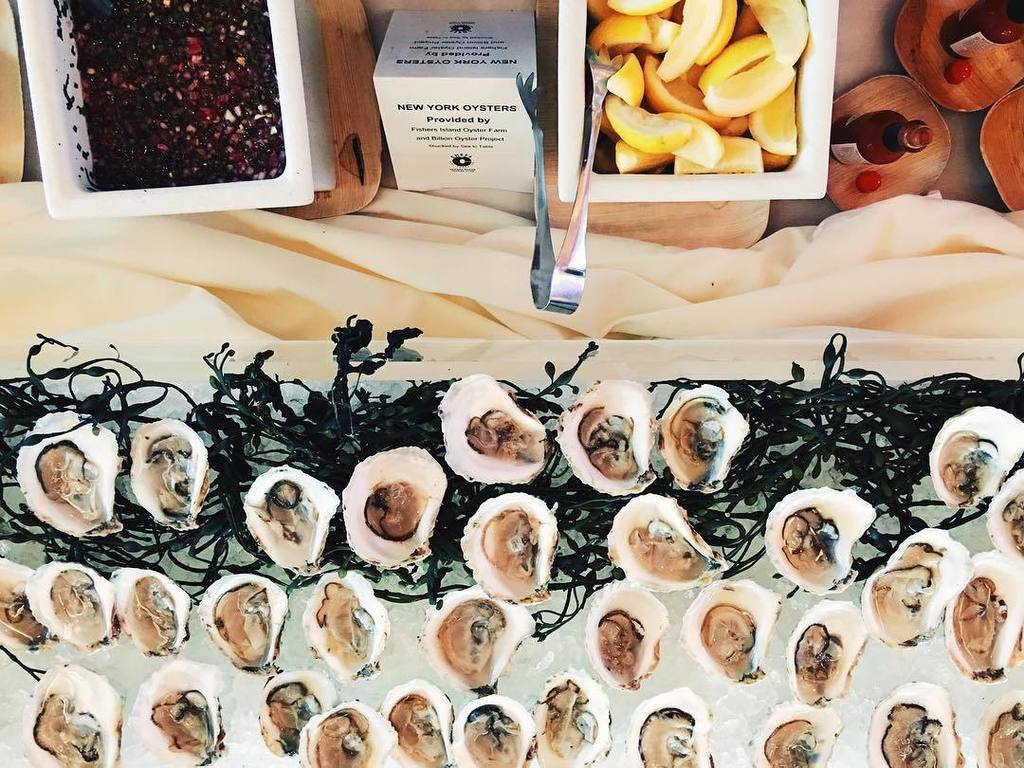 InAHalfShell's tweet image. The #oystergame at #ChefSummit16 was strong. 💪🏻😎🐚 @billionoyster @sea2table @fishersisland… ift.tt/22nldRR