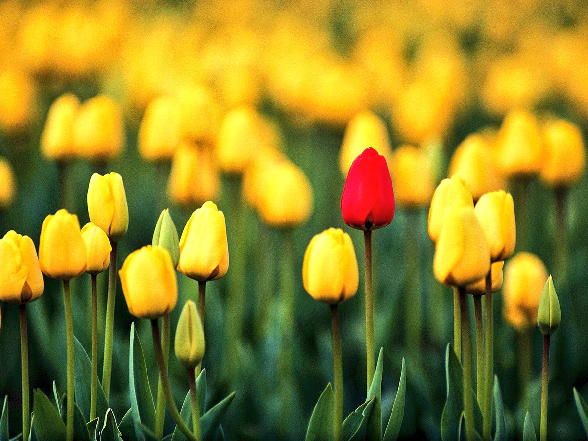 __aa__nn__'s tweet photo. - نَيهْ بَيضَاءْ فَقطّ ! كَفيَلهّ بَـ جلبْ المَعْجزاٺ المُذهَلةْ إلىْ الحُياهَ ..
#فـ احسنوو نياتكم 💭💙 https://t.co/gLdoPJdx5x