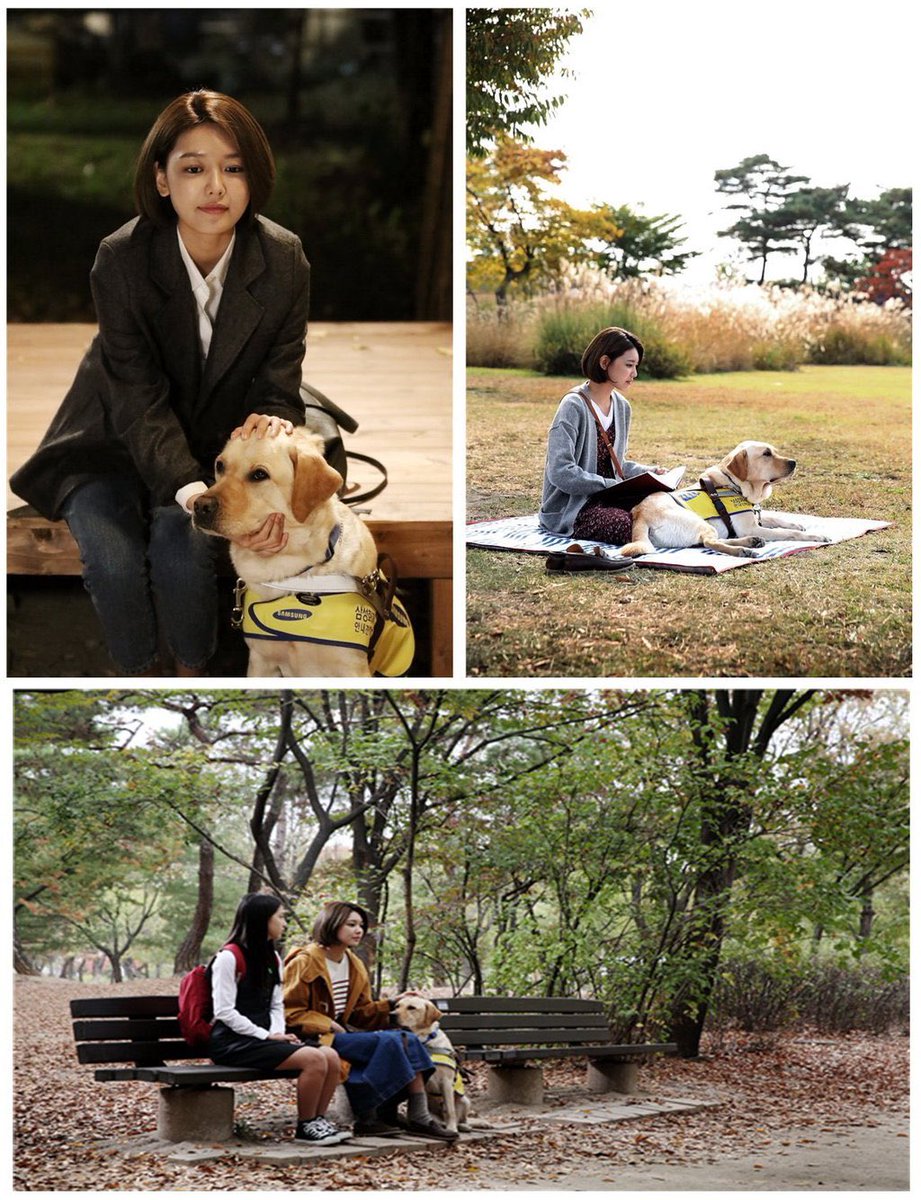 [PIC][14-10-2015]SooYoung sẽ tham gia vào Drama đặc biệt của kếnh KBS - 'Perfect Sense'  Cfum6ijUkAYR4hg