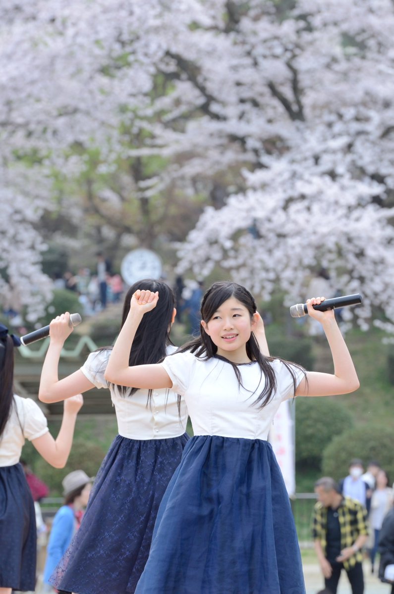 ２ごうさん 村松公園桜まつり Ryutist わっかー 麗しいっすねえ T Co Kivqjs8jz8