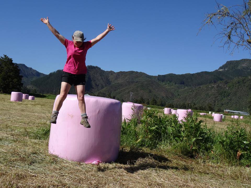 SweetLouiseNZ's tweet photo. Huge thx to @AgpacNZ for $23k from #pinkbales sales &amp; to all the farmers who bought it.... https://t.co/GB6nXmzGxx
